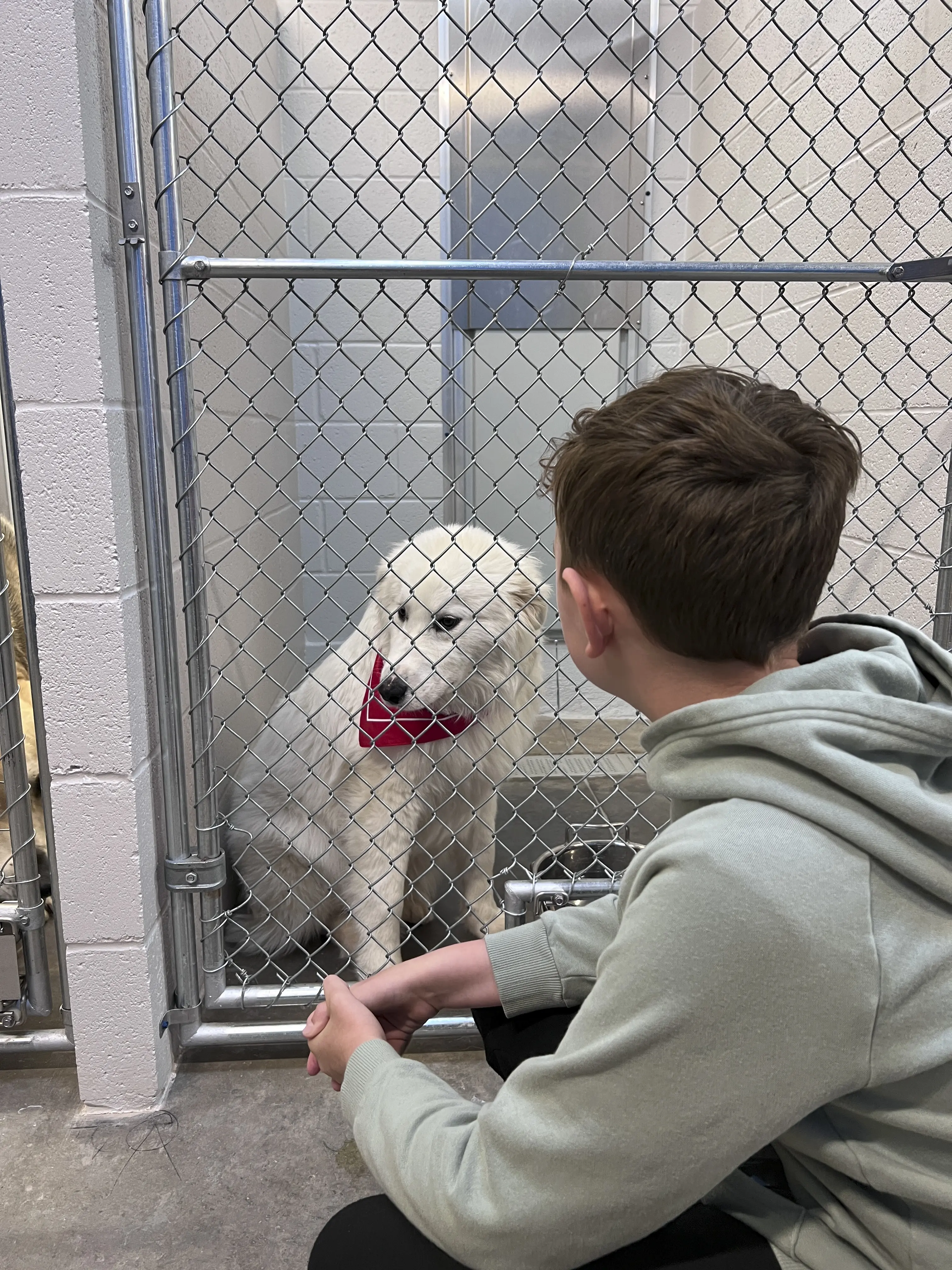 Newcastle Animal Shelter Opens3