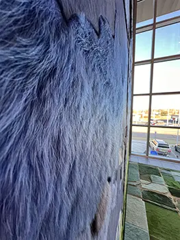 Climbing Higher: A Tribute Built Into the OEC Campus3