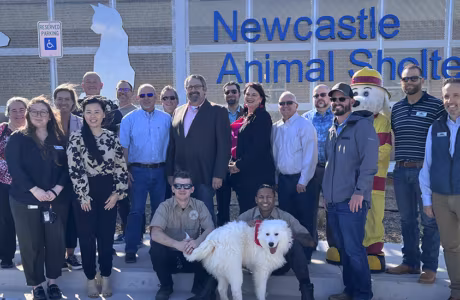 Animal Shelter