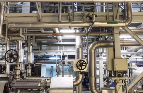 Cogeneration Plant